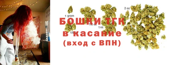 прущие грибы Богородск