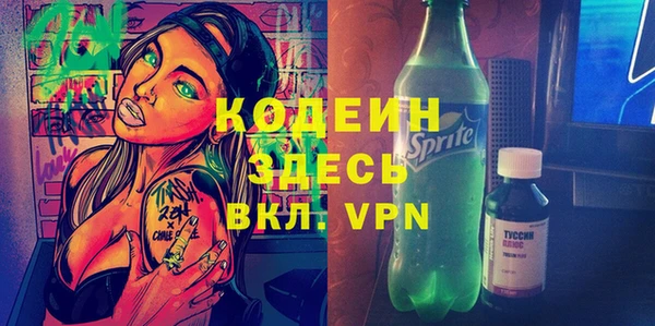 индика Богданович