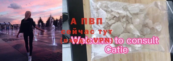 индика Богданович