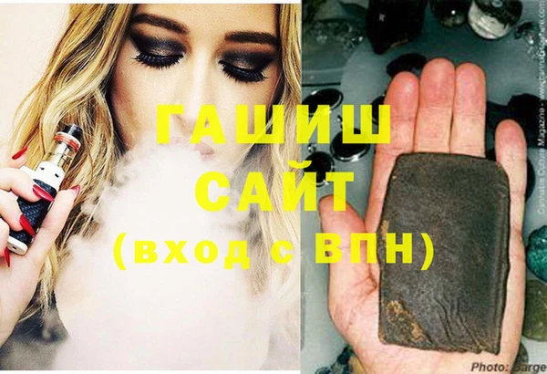 индика Богданович