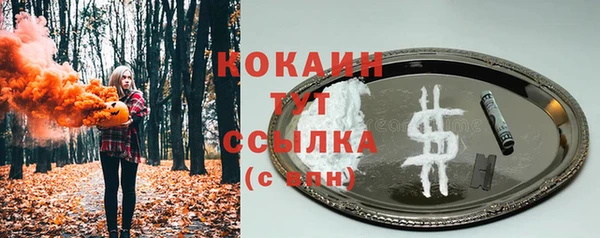 шишки Белокуриха