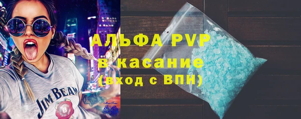 прущие грибы Богородск