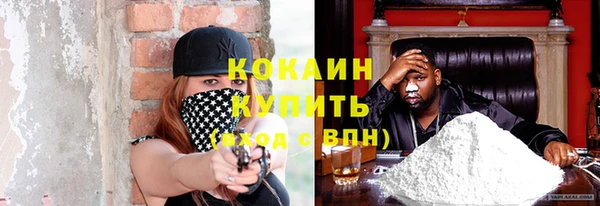 мескалин Богородицк