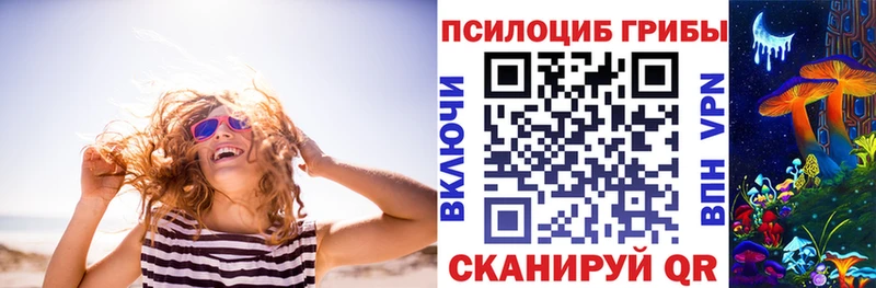 купить закладку Биробиджан KRAKEN tor Галлюциногенные грибы Psilocybine cubensis